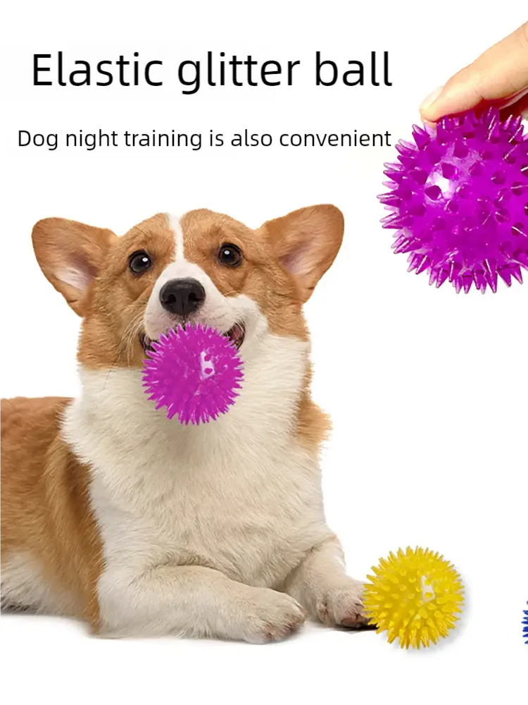 Squeaky Dog Toy Spiky Dog Ball