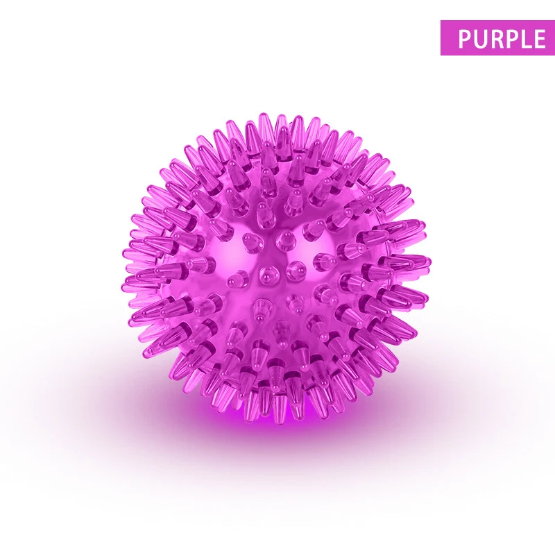 Squeaky Dog Toy Spiky Dog Ball