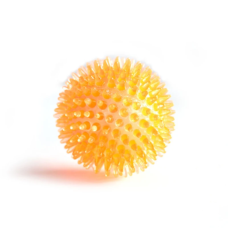 Squeaky Dog Toy Spiky Dog Ball