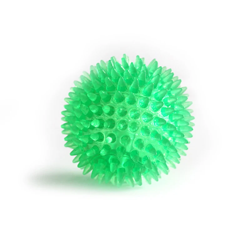 Squeaky Dog Toy Spiky Dog Ball