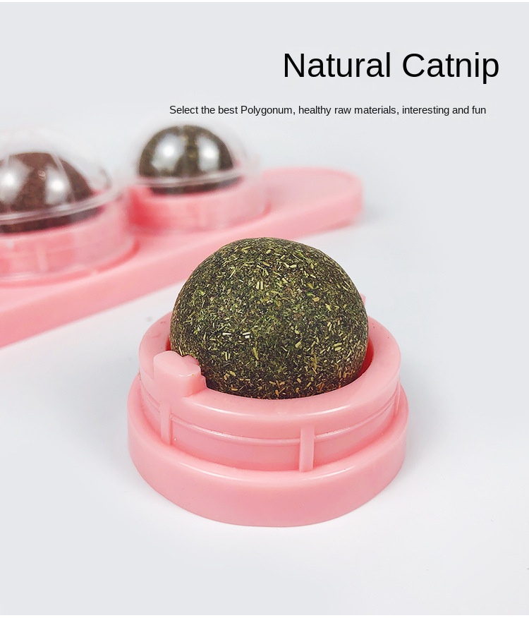 Cat Snacks Mint Spinning Ball