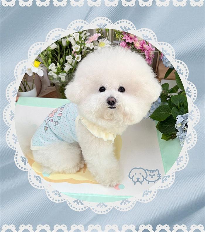 Small Dog Thin Spring And Summer Clothes