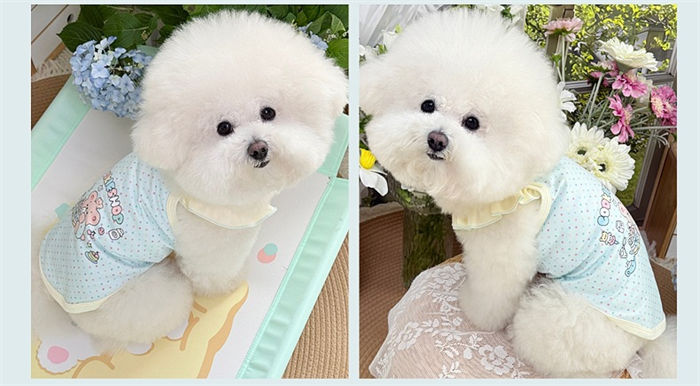 Small Dog Thin Spring And Summer Clothes