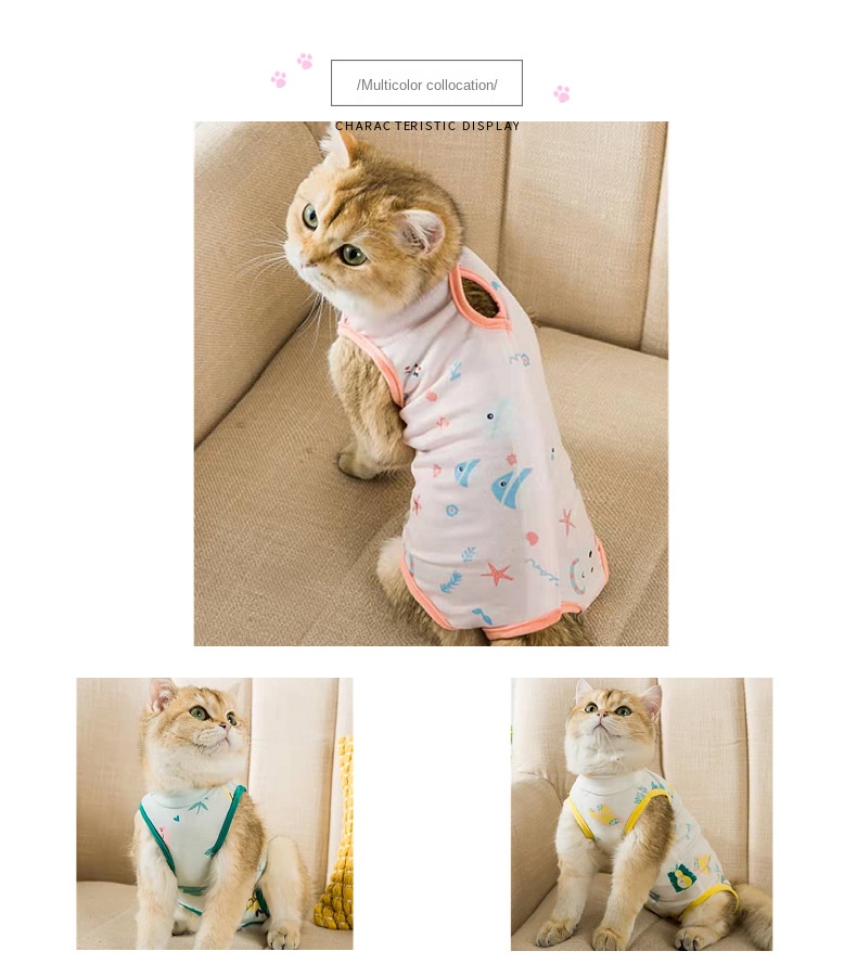 Cat Sterilization Clothing And Weaning Clothing