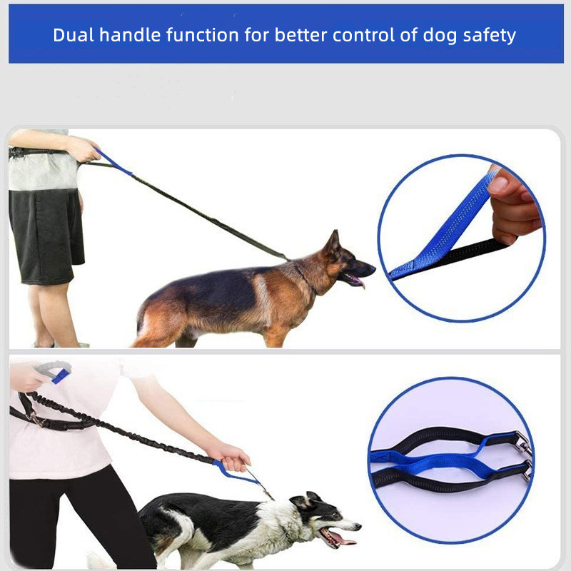 Multi Functional Pet Leash
