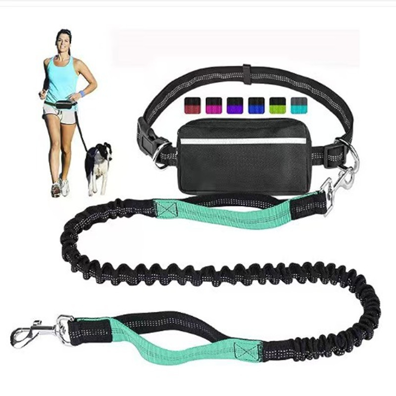 Multi Functional Pet Leash
