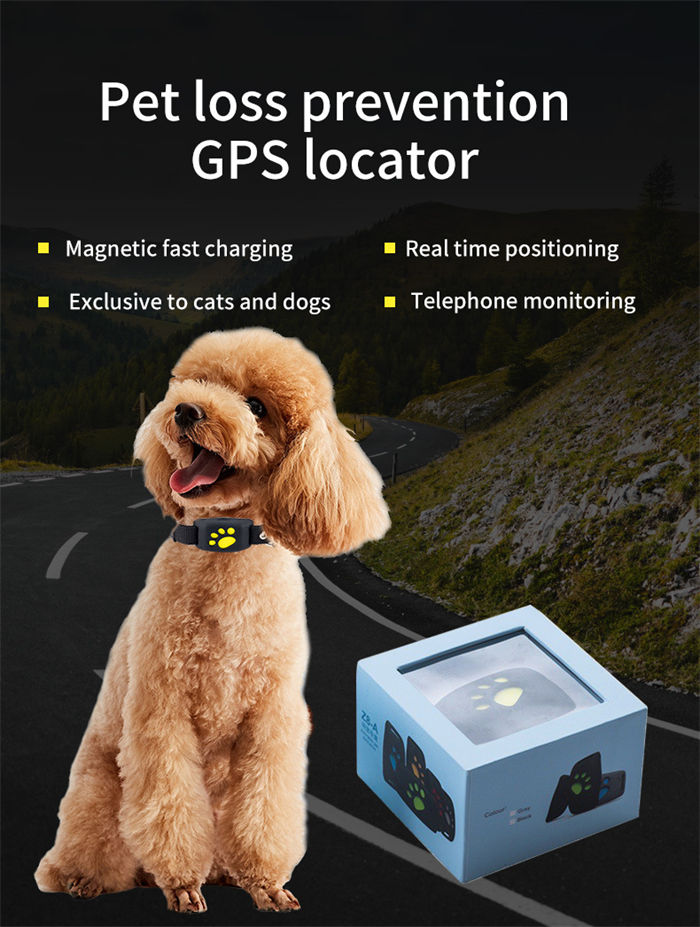 Pet GPS Anti Loss Device