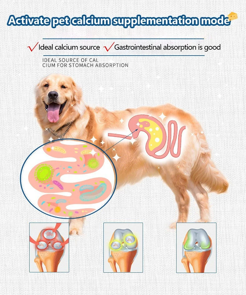 Cat And Dog Calcium Supplements