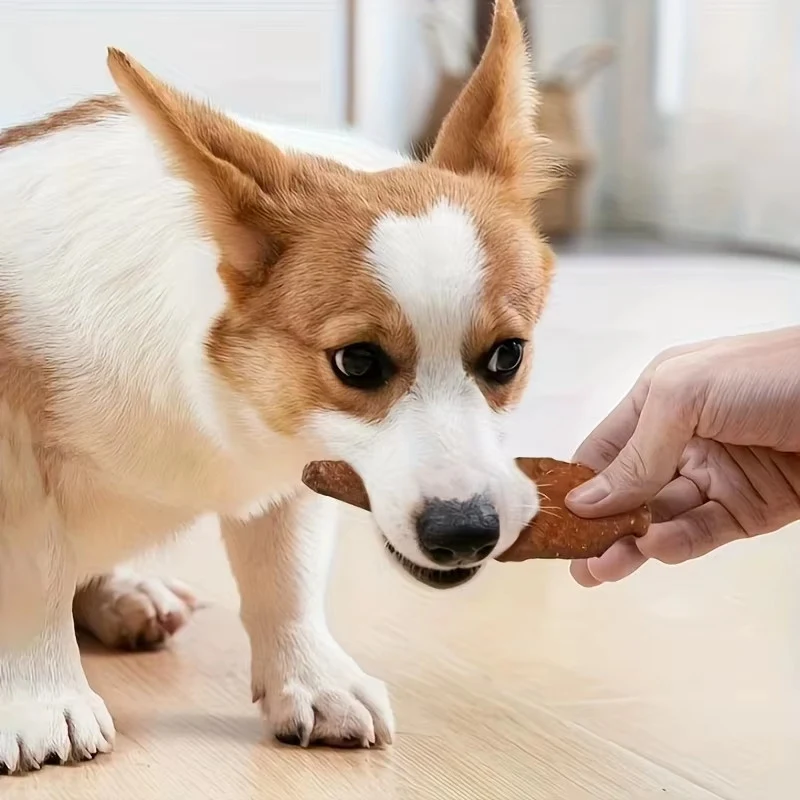 Dog Food Snacks And Dried Meat Combination