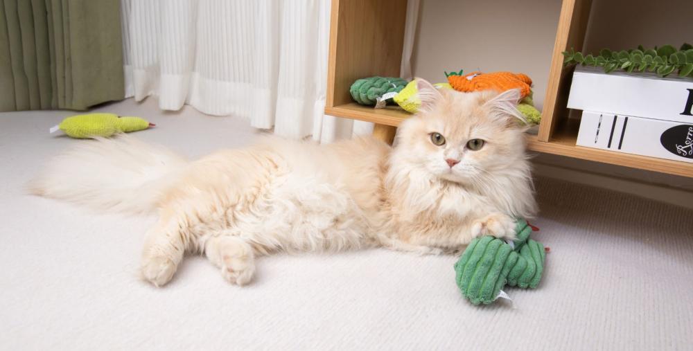 Cat Plush Bite Toy Catnip Pillow