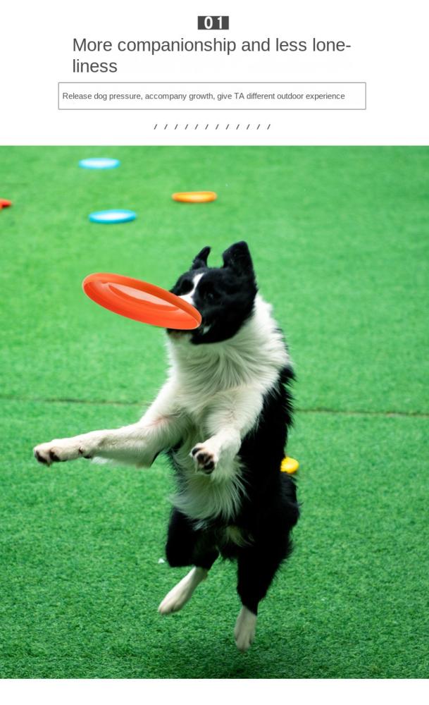 Pet Dog Training Frisbee
