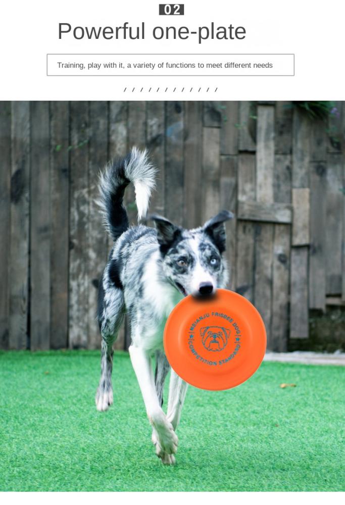 Pet Dog Training Frisbee