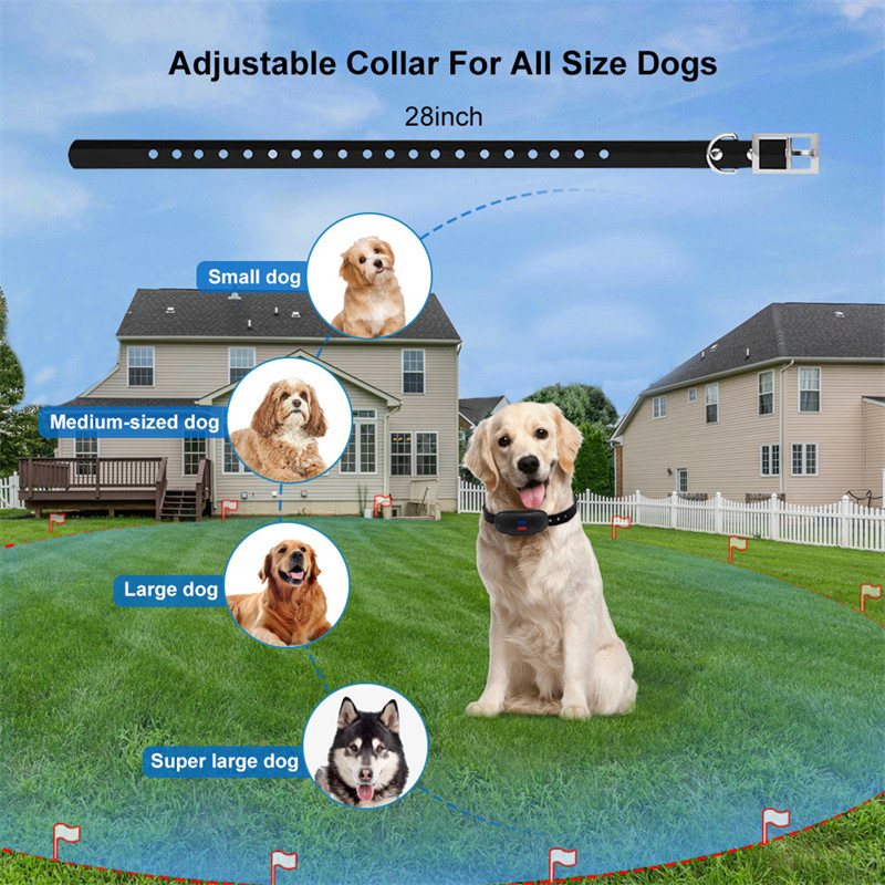 Pet Electronic Fence