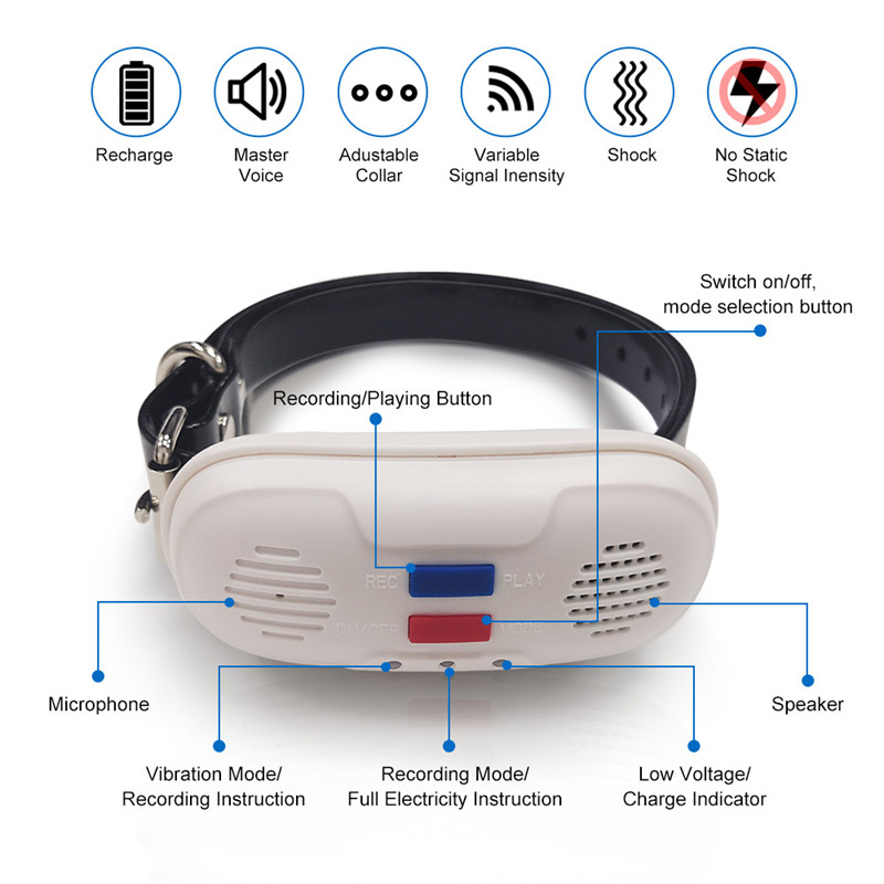 Pet Electronic Fence