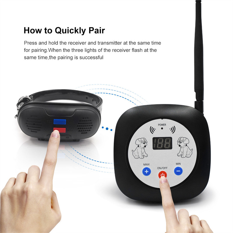Pet Electronic Fence