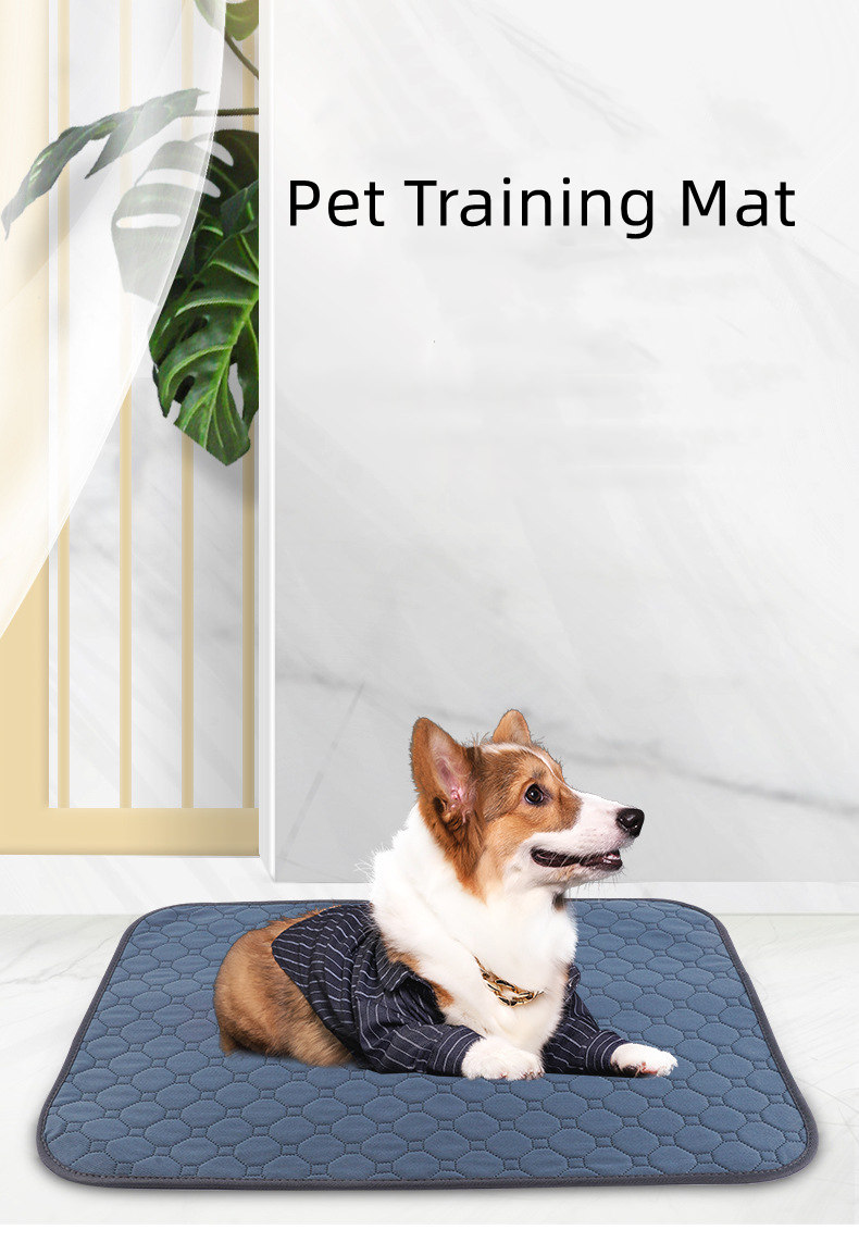 Pet Waterproof Urine Pad