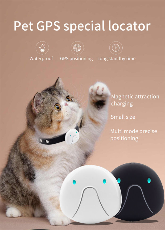 Cat And Dog Specific Positioning Anti Loss Device