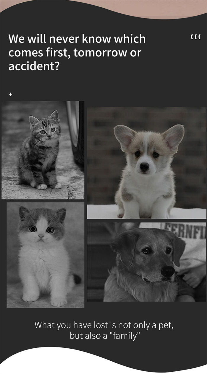 Cat And Dog Specific Positioning Anti Loss Device