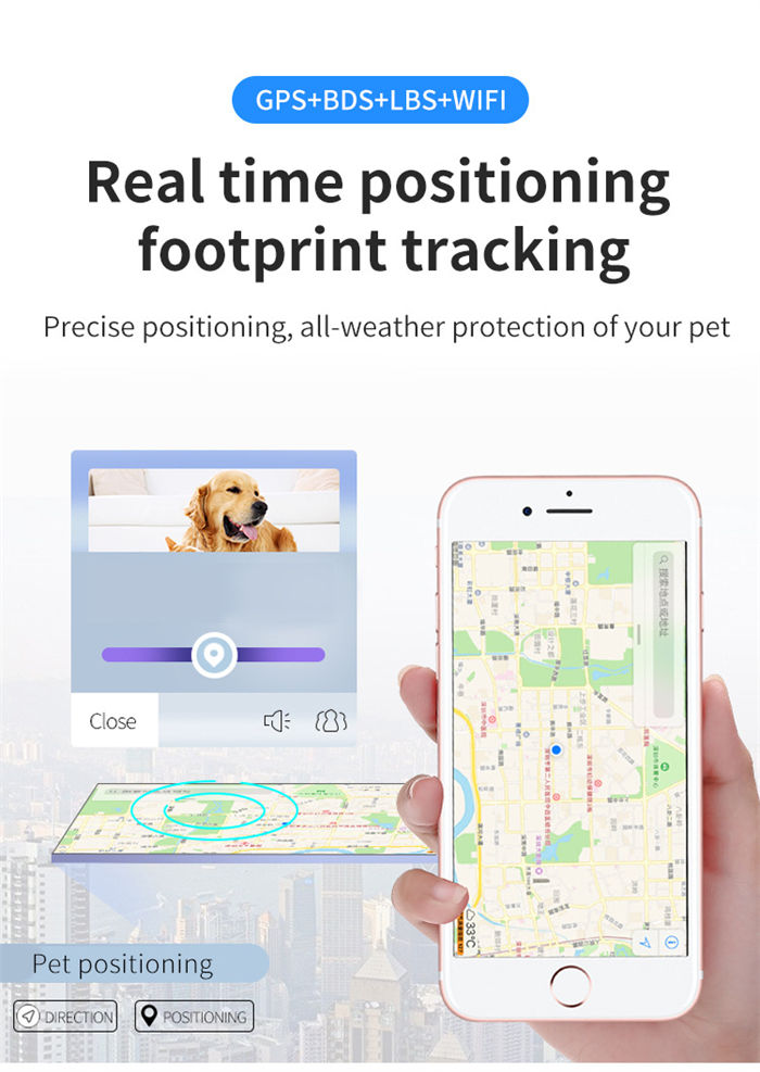 Cat And Dog Specific Positioning Anti Loss Device