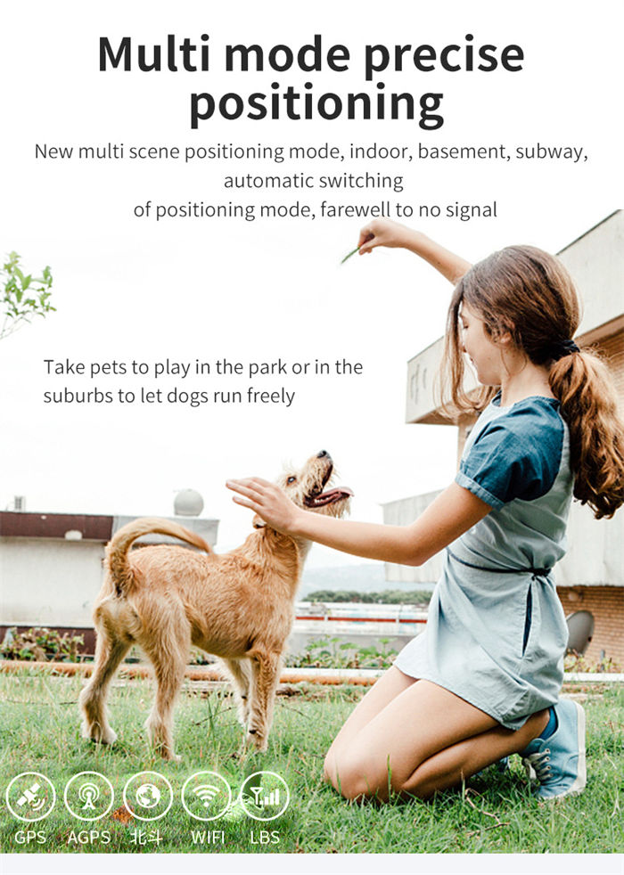 Cat And Dog Specific Positioning Anti Loss Device