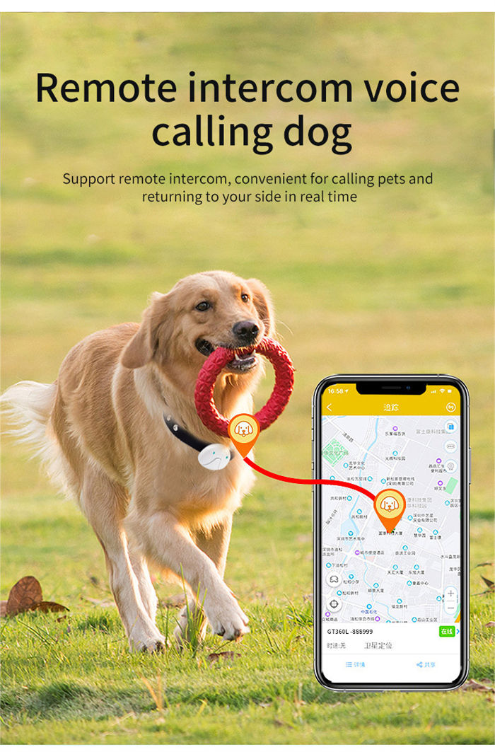 Cat And Dog Specific Positioning Anti Loss Device