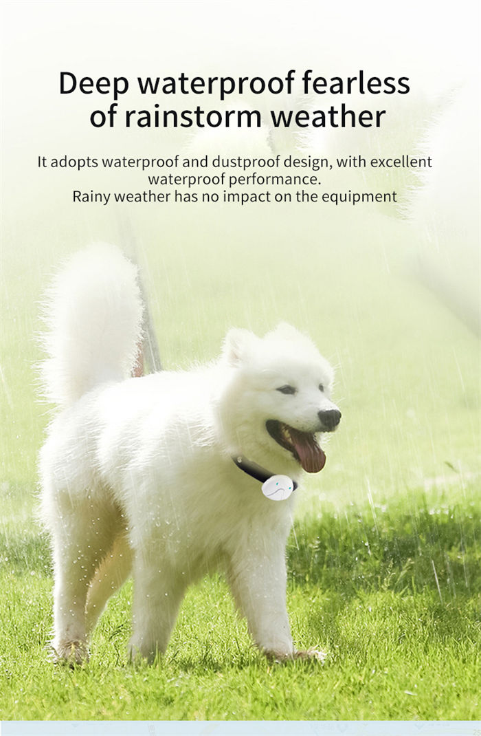 Cat And Dog Specific Positioning Anti Loss Device