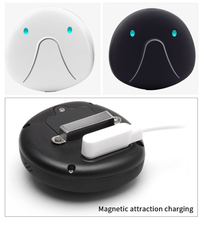 Cat And Dog Specific Positioning Anti Loss Device