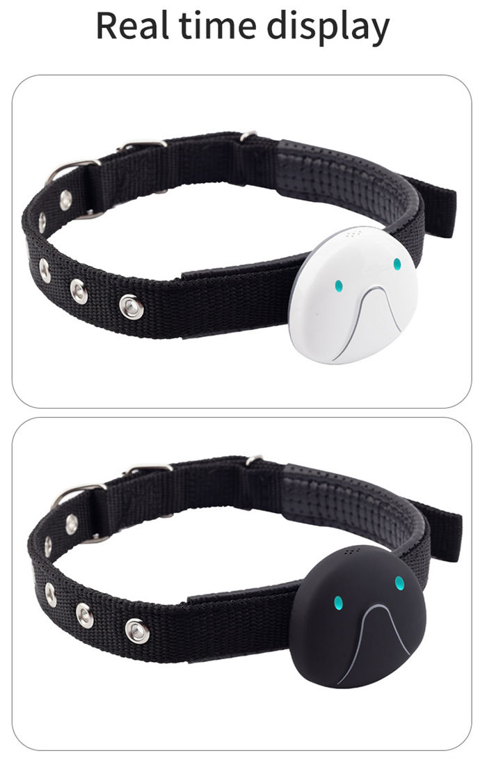 Cat And Dog Specific Positioning Anti Loss Device