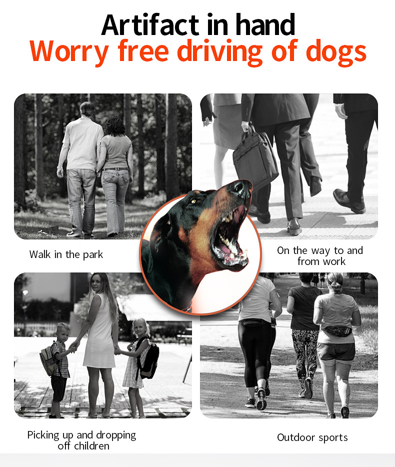 Ultrasonic Equipment For Driving Dogs Away