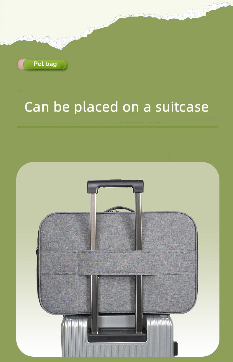 Cat Outdoor Portable Case