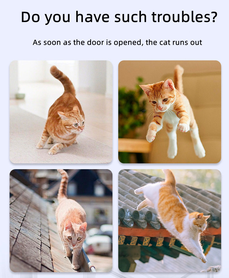 No Need To Drill Holes To Install Pet Fences
