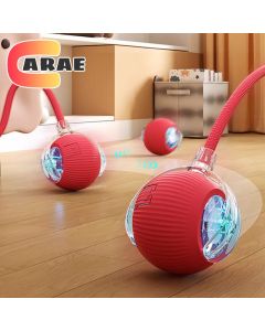 Rechargeable Smart Pet Interactive Toy