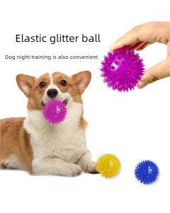 Squeaky Dog Toy Spiky Dog Ball