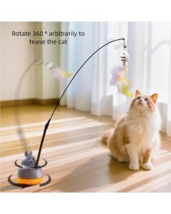 Steel Wire Long Pole Rotating Cat Teasing Stick