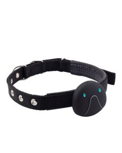 Cat And Dog Specific Positioning Anti Loss Device