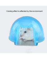 Summer Cool Hamster Squirrel Cage Bed