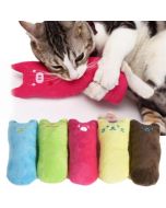 Cat Thumb Toy Pillow With Catnip