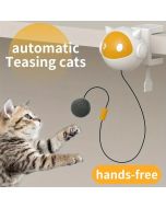 Interactive Cat Teasing Toy With Automatic No Lifting And Drop Ball