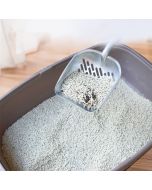 Pet Metal Cat Litter Shovel