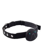 Cat And Dog Specific Positioning Anti Loss Device