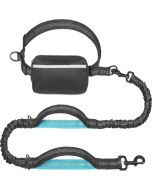 Multi Functional Pet Leash