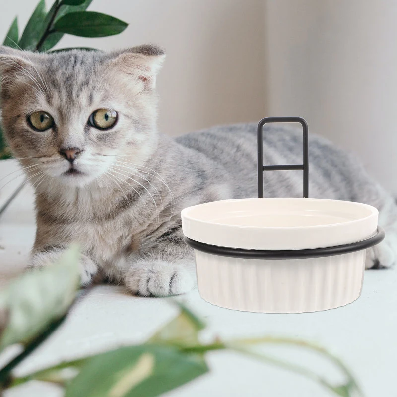 Ceramic Iron Pet Feeding Bowl