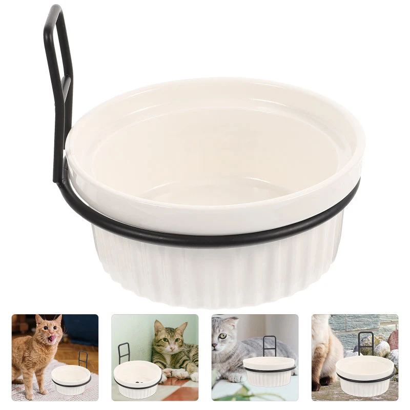 Ceramic Iron Pet Feeding Bowl