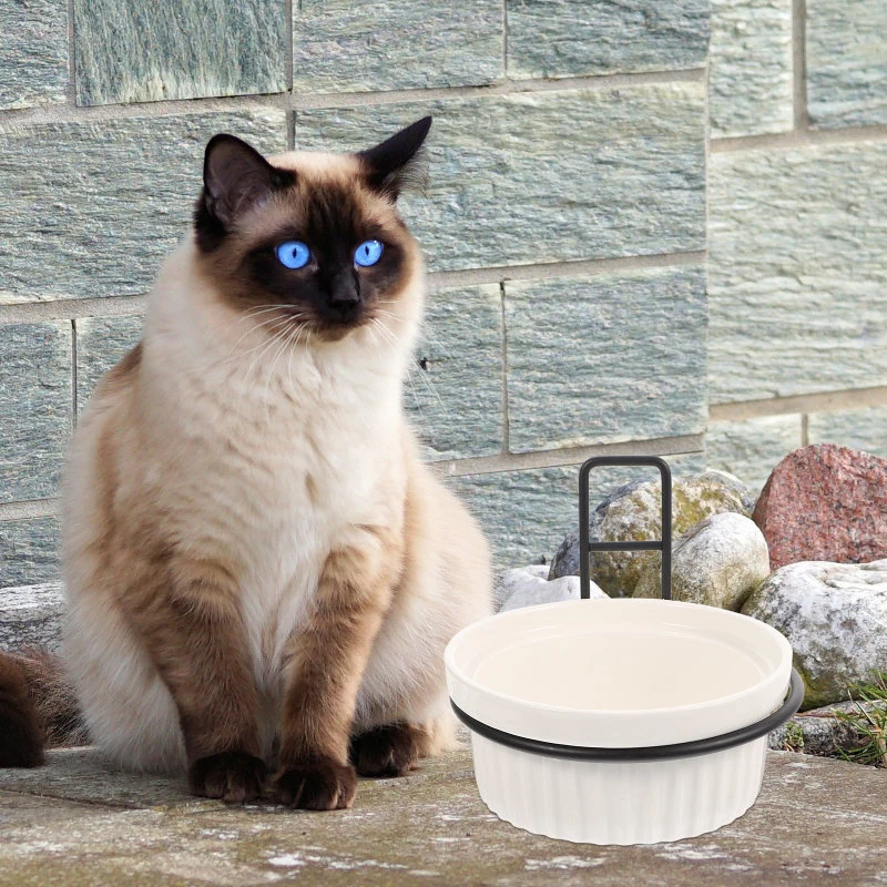 Ceramic Iron Pet Feeding Bowl
