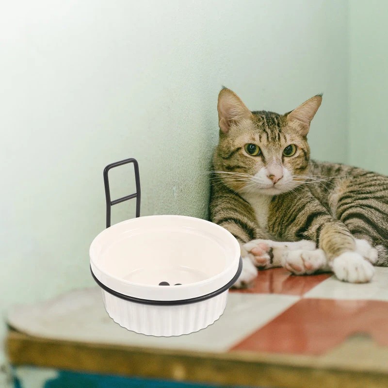 Ceramic Iron Pet Feeding Bowl