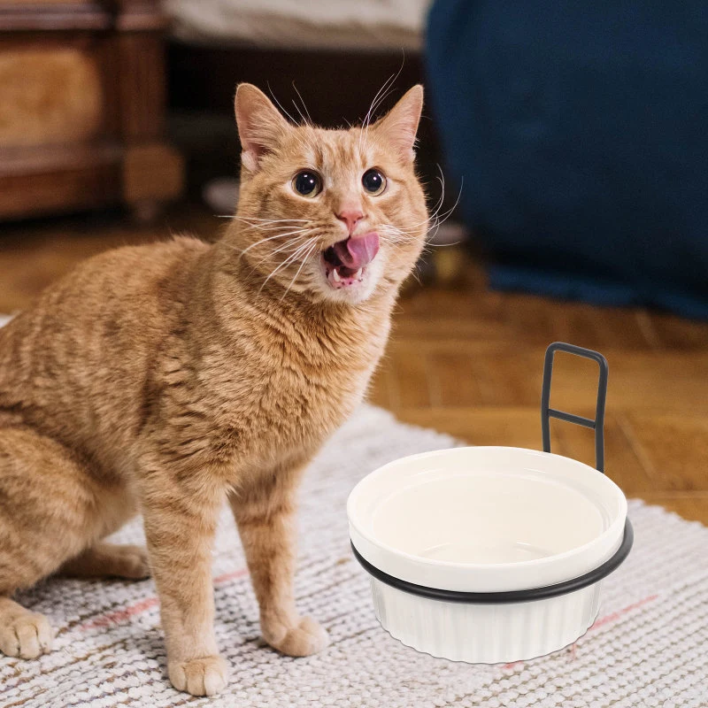 Ceramic Iron Pet Feeding Bowl