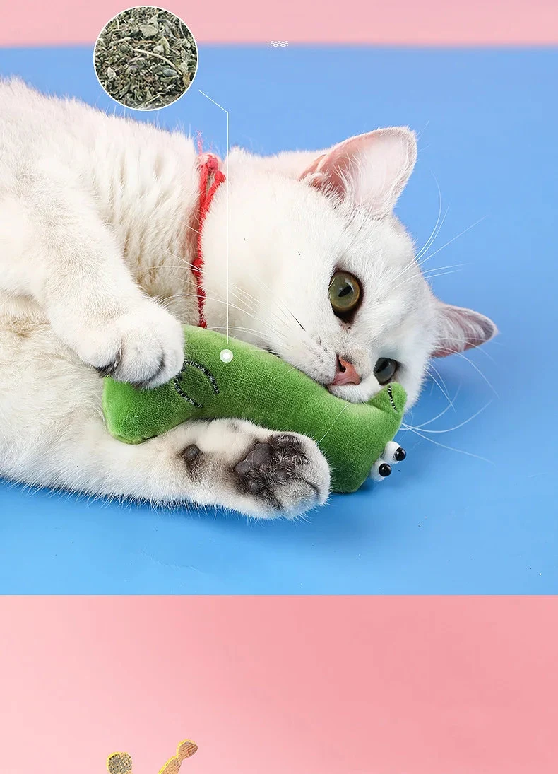 Catnip Cats Toy With Catnip Plush Cat Toys For Kitten
