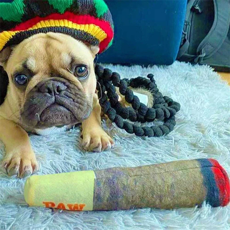 Dog Cigar Plush Teeth Chewing Toy