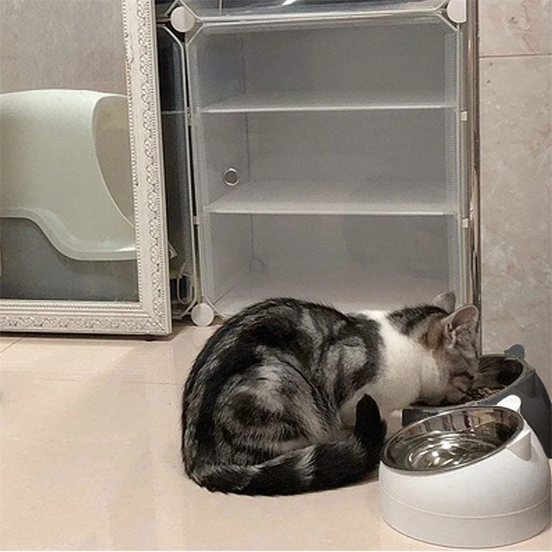 Pet Water Dispenser Feeder