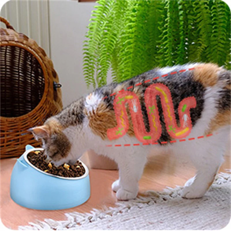 Pet Water Dispenser Feeder
